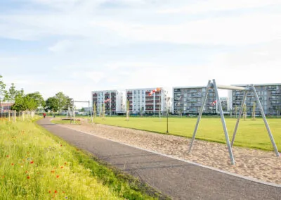 Weitläufige Grünfläche mit Wildblumenwiese vor Wohnbebauung
