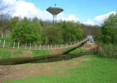 Weg- und Pflanzflächen einer öffentlichen Gartenanlage