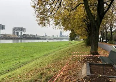 Parkbank unter Bäumen an einer neu angelegten Grünfläche